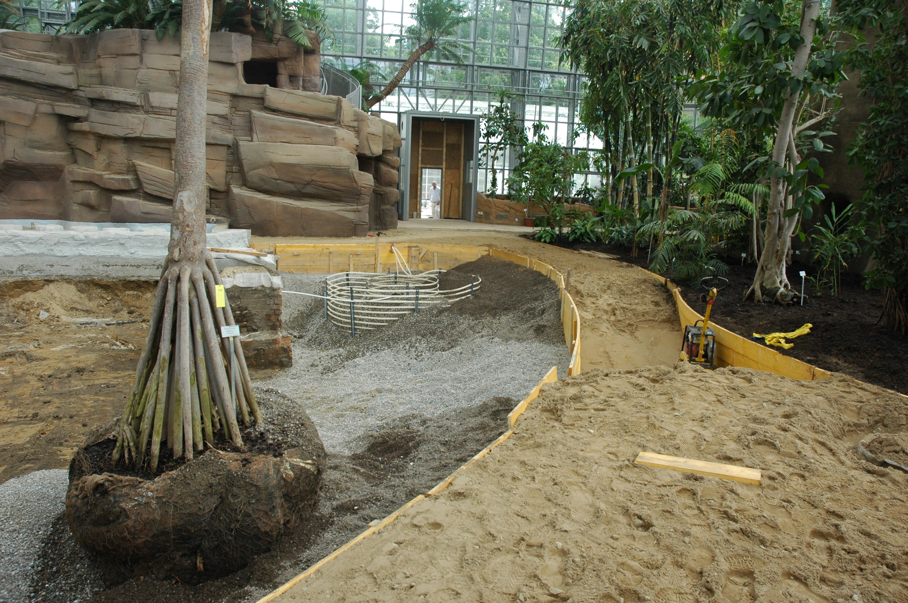 Großes Tropenhaus während der Wiederbepflanzung, 2009