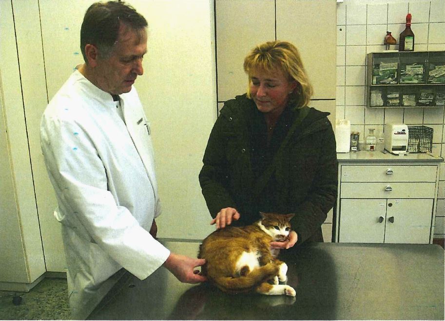 Prof. Brunnberg und Katze