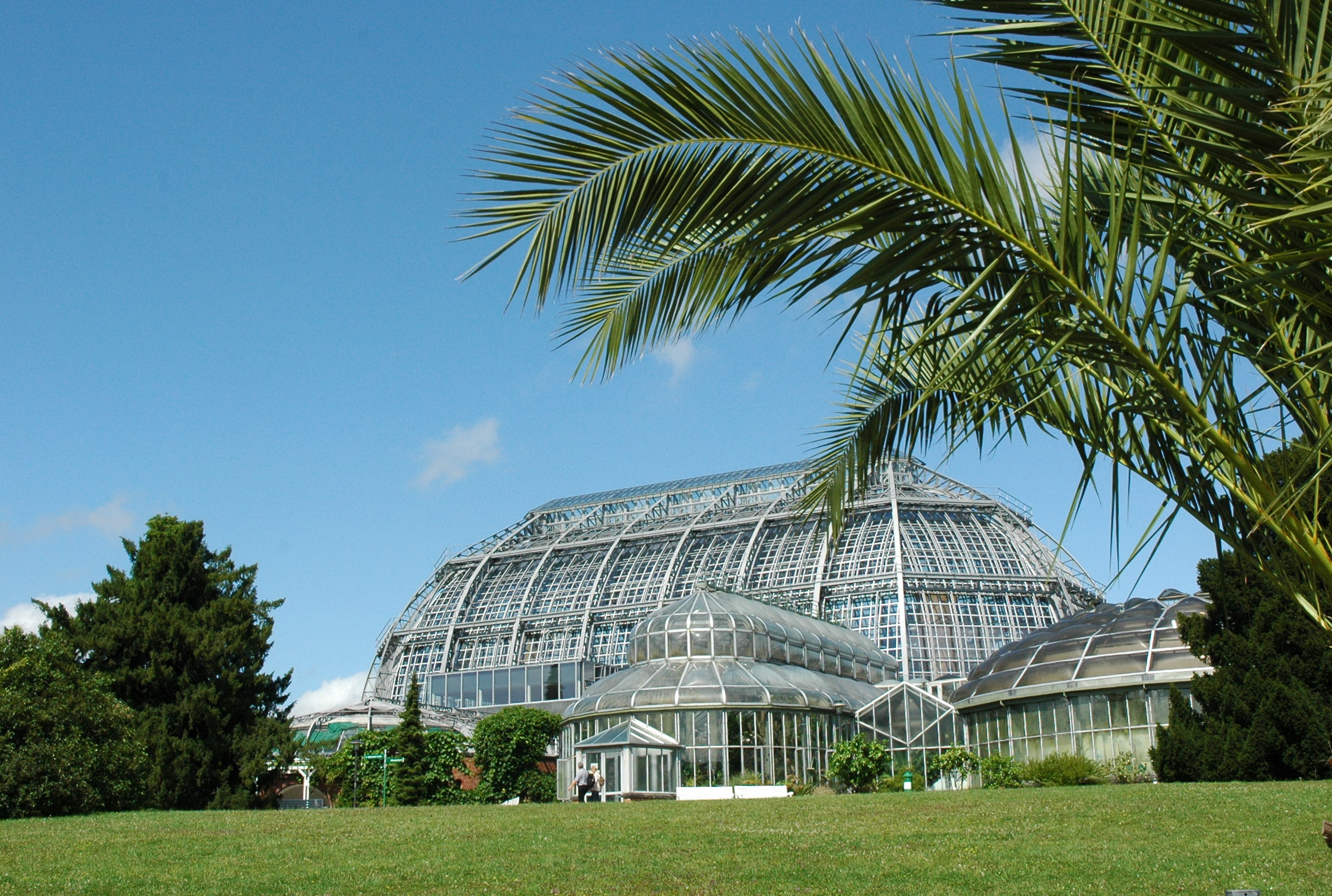 Großes Tropenhaus des Botanischen Gartens der Freien Universität Berlin