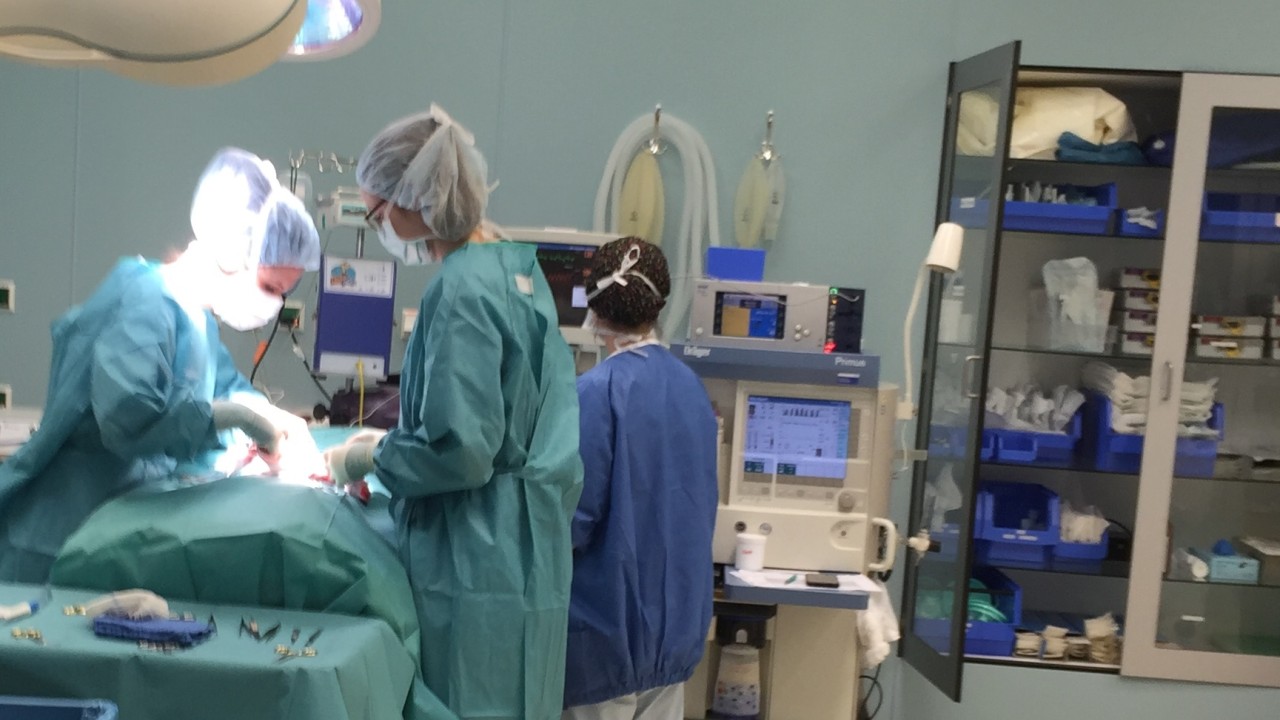 kleintierklinik_c00_eg000_720.jpg