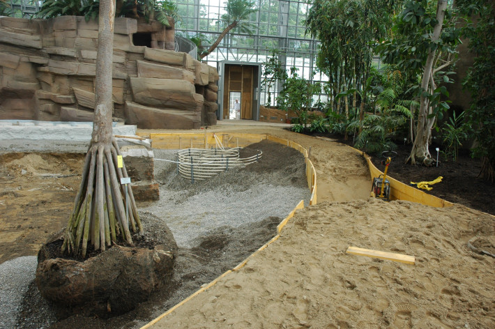 Großes Tropenhaus während der Wiederbepflanzung, 2009