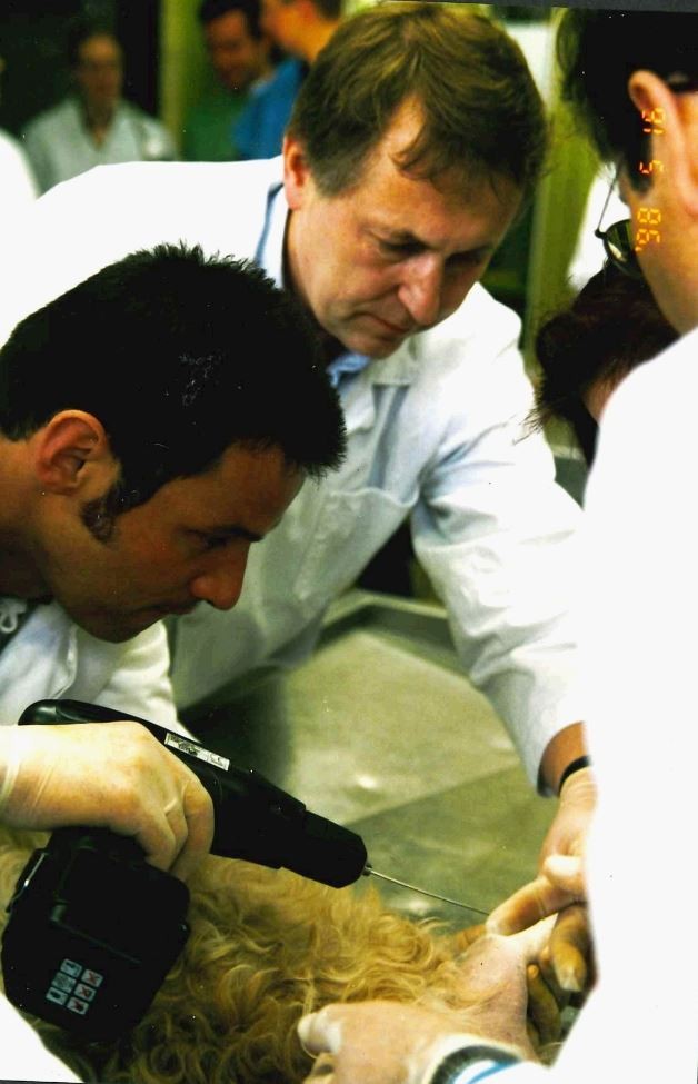 Prof. Brunnberg beider Behandlung eines Tieres