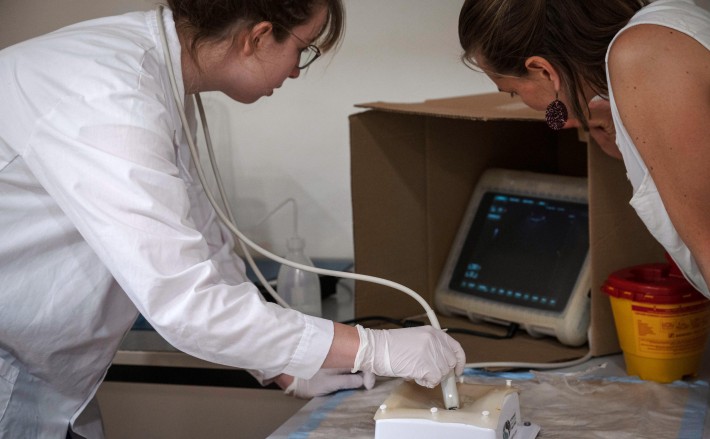 Forschung, Studium und Lehre an der Kleintierklinik